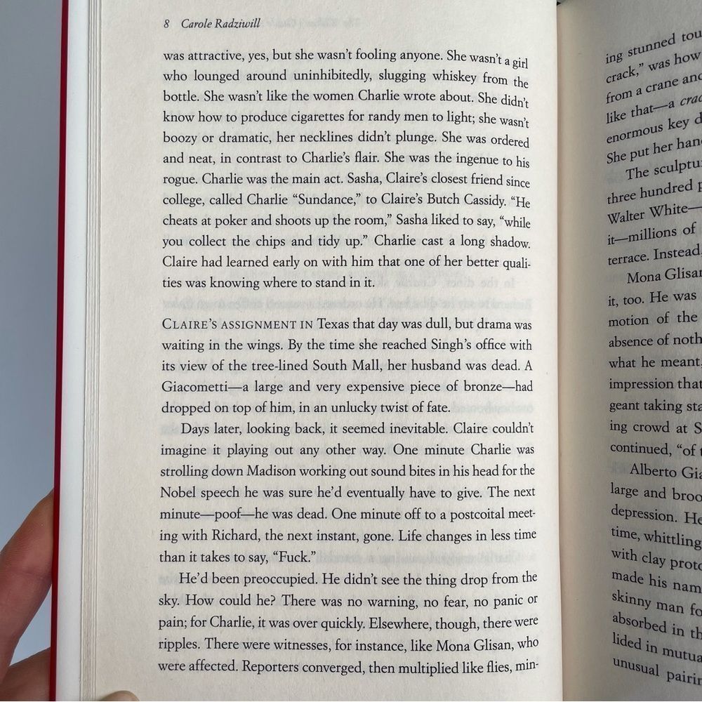 BOOK, The Widow’s Guide to Sex & Dating, a novel, 302 pages, Fiction, NOS - Picture 7 of 16